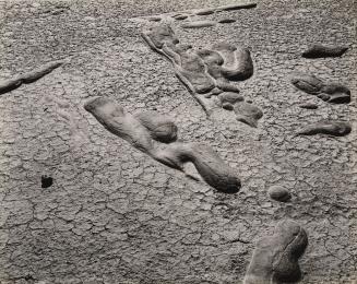 Sandstone Concretions, Salton Sea