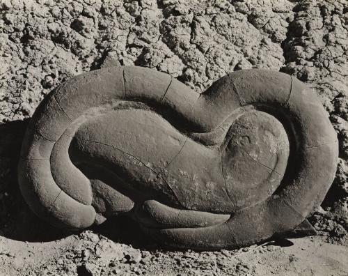 Sandstone Concretion, Salton Sea