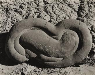 Sandstone Concretion, Salton Sea