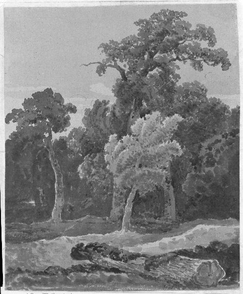 Vertical Landscape with Trees