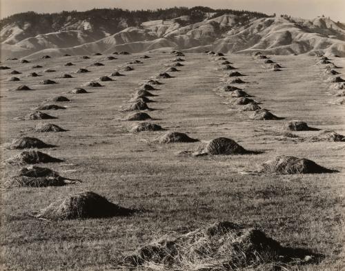 San Simeon Highway