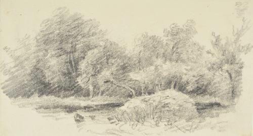 Woodland and Stream