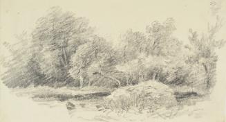 Woodland and Stream