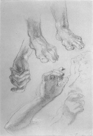 Studies of Hands and Feet