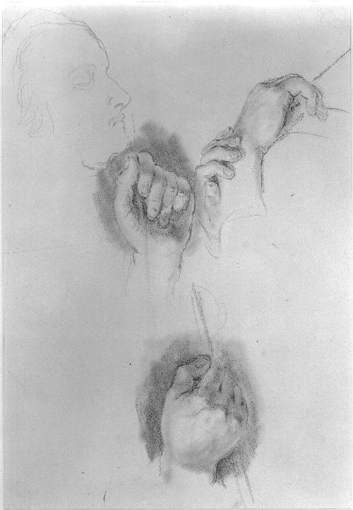 Studies of Hands and Feet