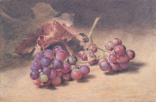 Grapes