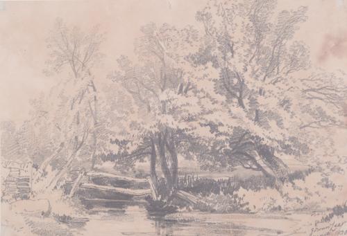 River Landscape