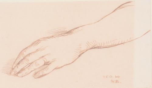 Left Hand Study