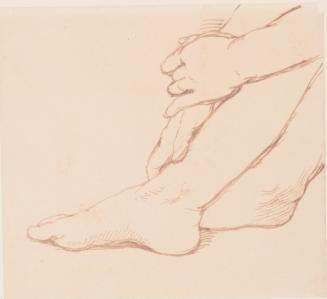 Hands and Feet Study