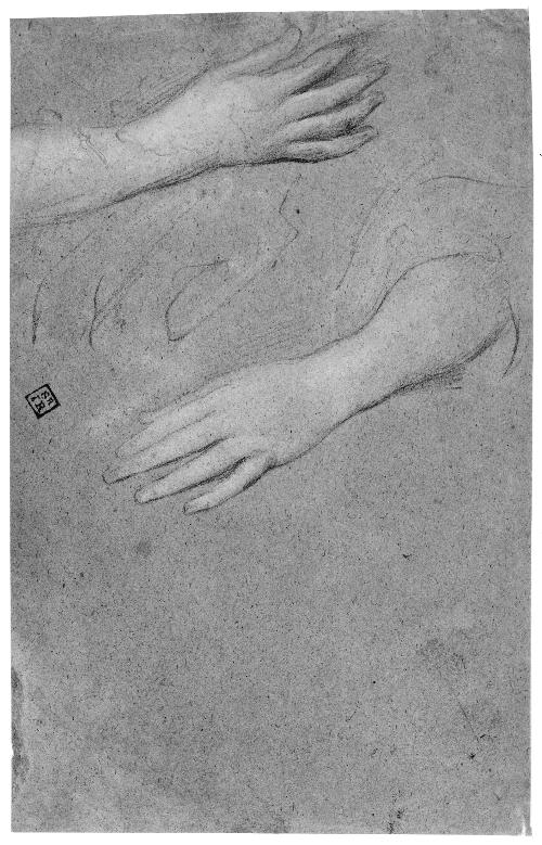 Woman's Hands