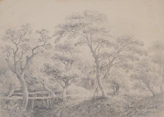 Wooded Landscape