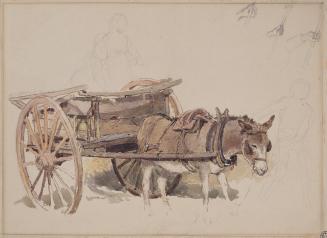 Donkey Cart