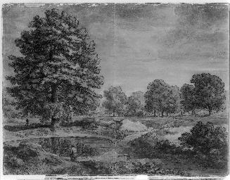 Wooded Landscape