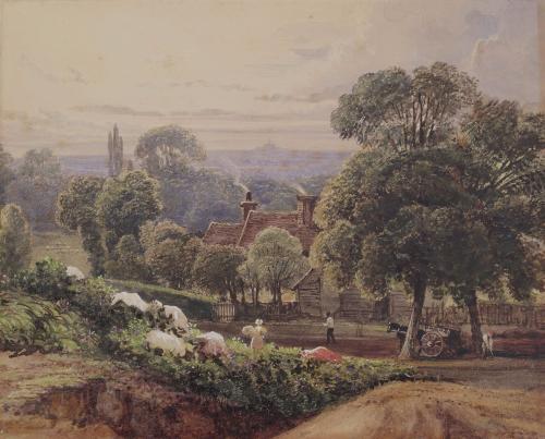 Wyld's Farm, Hampstead