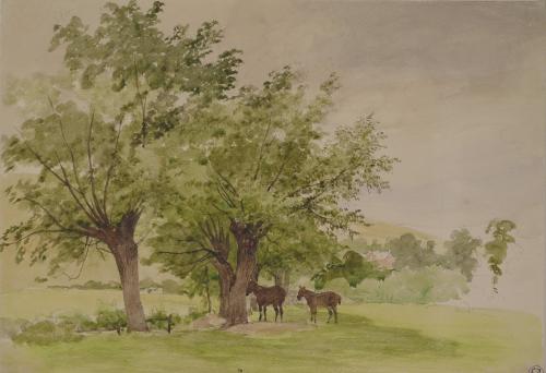 Horses Under Trees