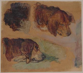 Two Studies of Bloodhounds