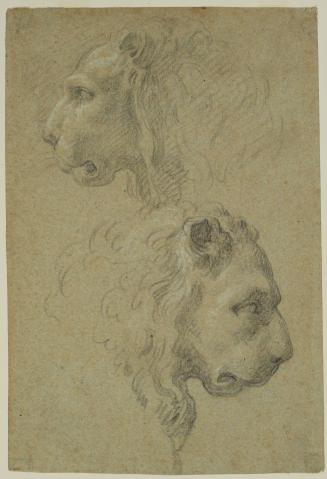 Two Lions' Heads