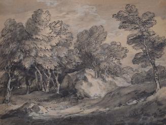 Wooded Landscape