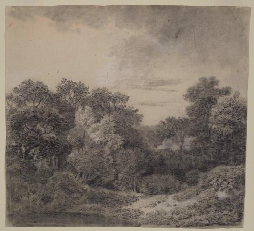 Wooded Landscape