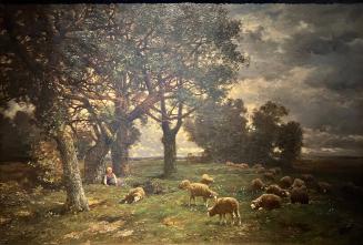 Sheep at Pasture