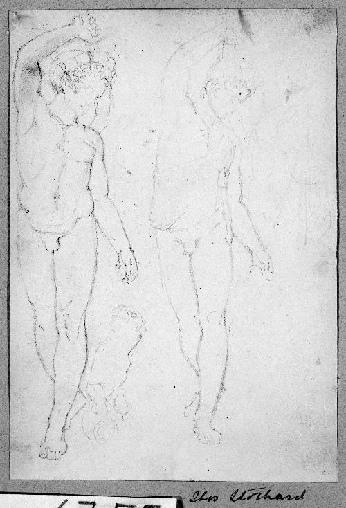 Studies of a Nude Male Figure