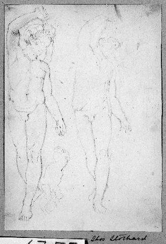 Studies of a Nude Male Figure